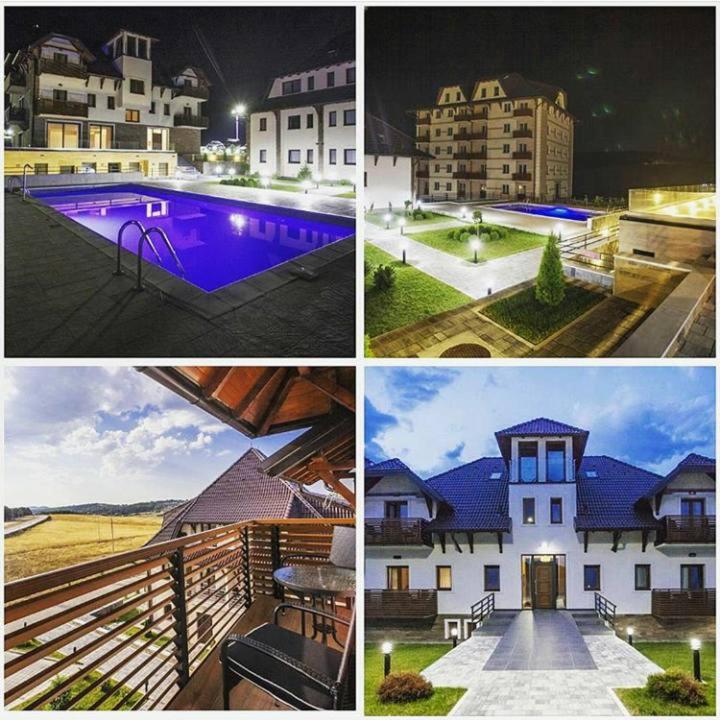 Apartment Hill's Maksimovic *
